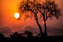 Kruger National Park: A Premier Safari Destination in South Africa