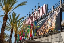 Los Angeles Zoo, USA: The Ultimate Guide for Tourists