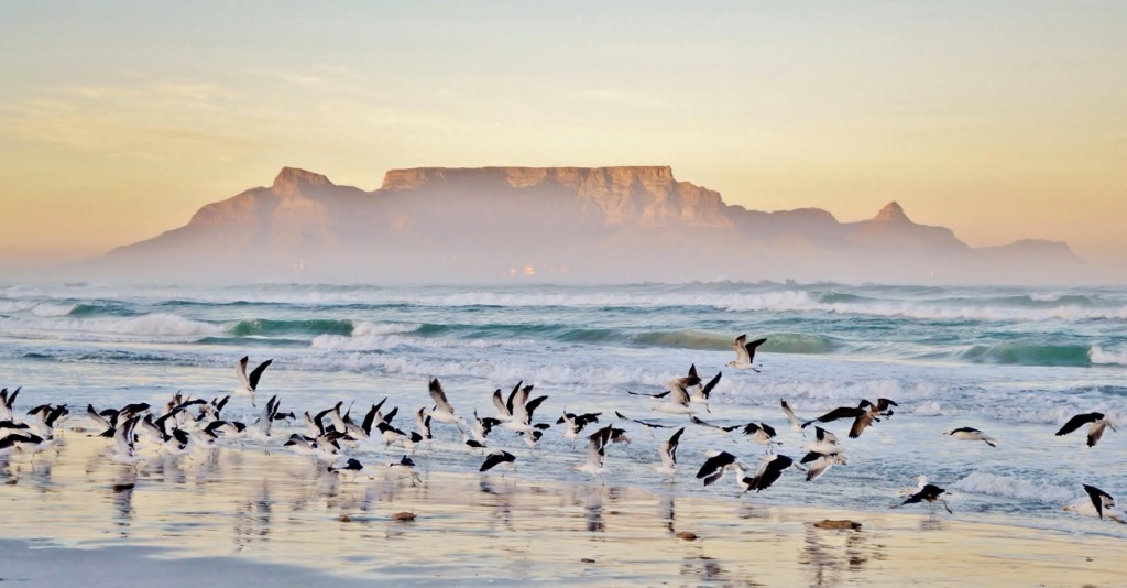 Table Mountain, South Africa: A Majestic Landmark of Natural Beauty