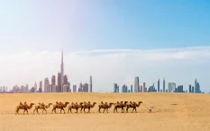 Discover the Wonders of Dubai: A Tourist’s Ultimate Guide to the City of Gold