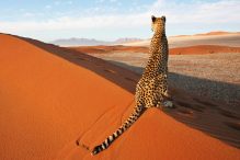 Namib Desert, Namibia: A Comprehensive Tourist Guide