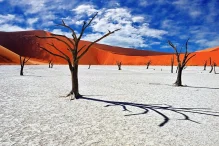 Sossusvlei, Namibia: A Comprehensive Tourist Guide