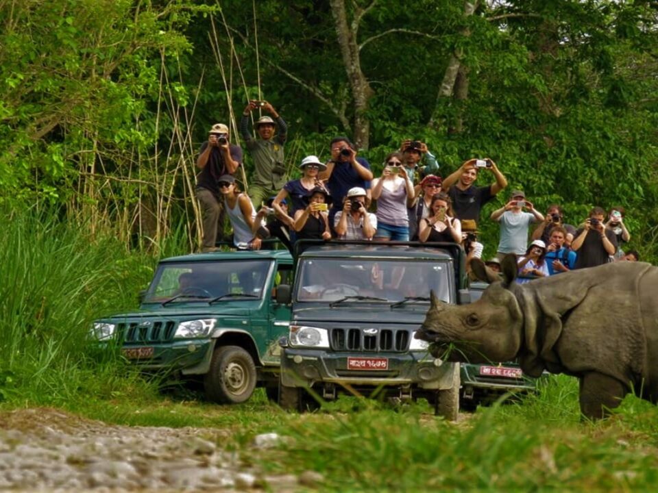 Chitwan National Park: A Sanctuary of Wildlife and Adventure