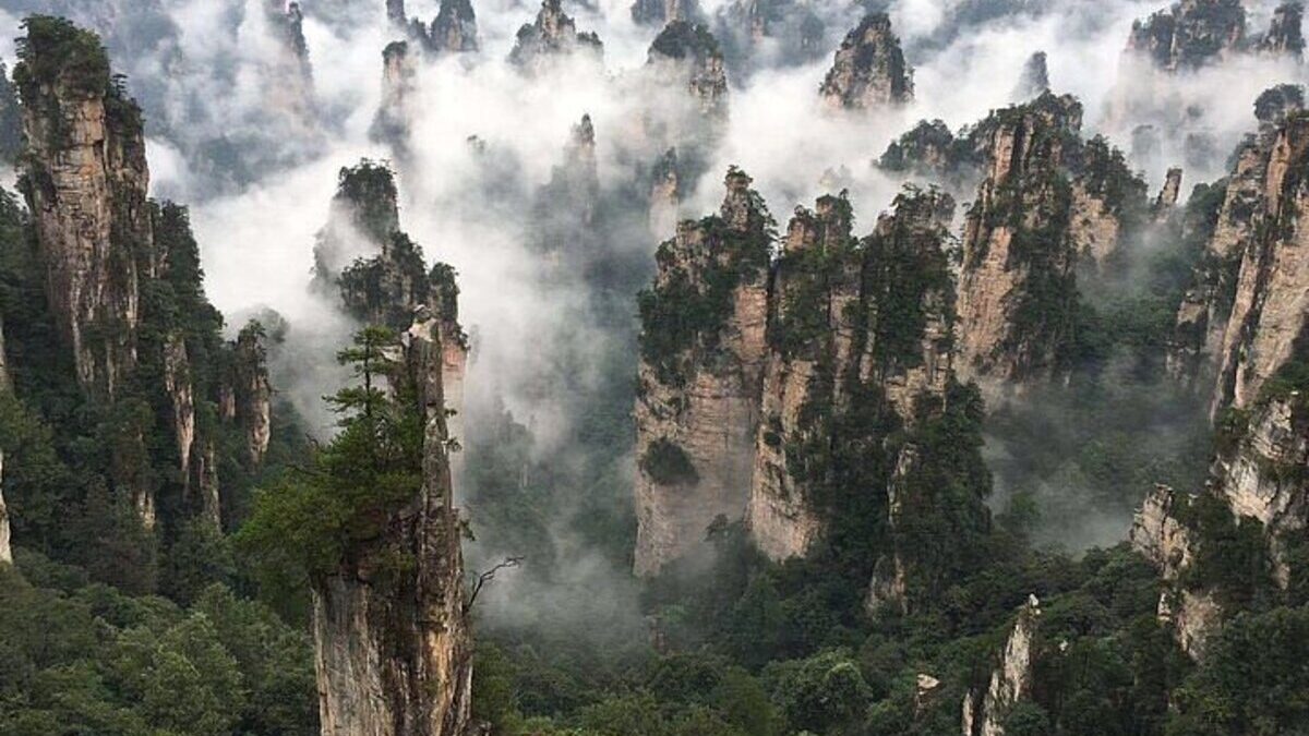 Zhangjiajie National Forest Park