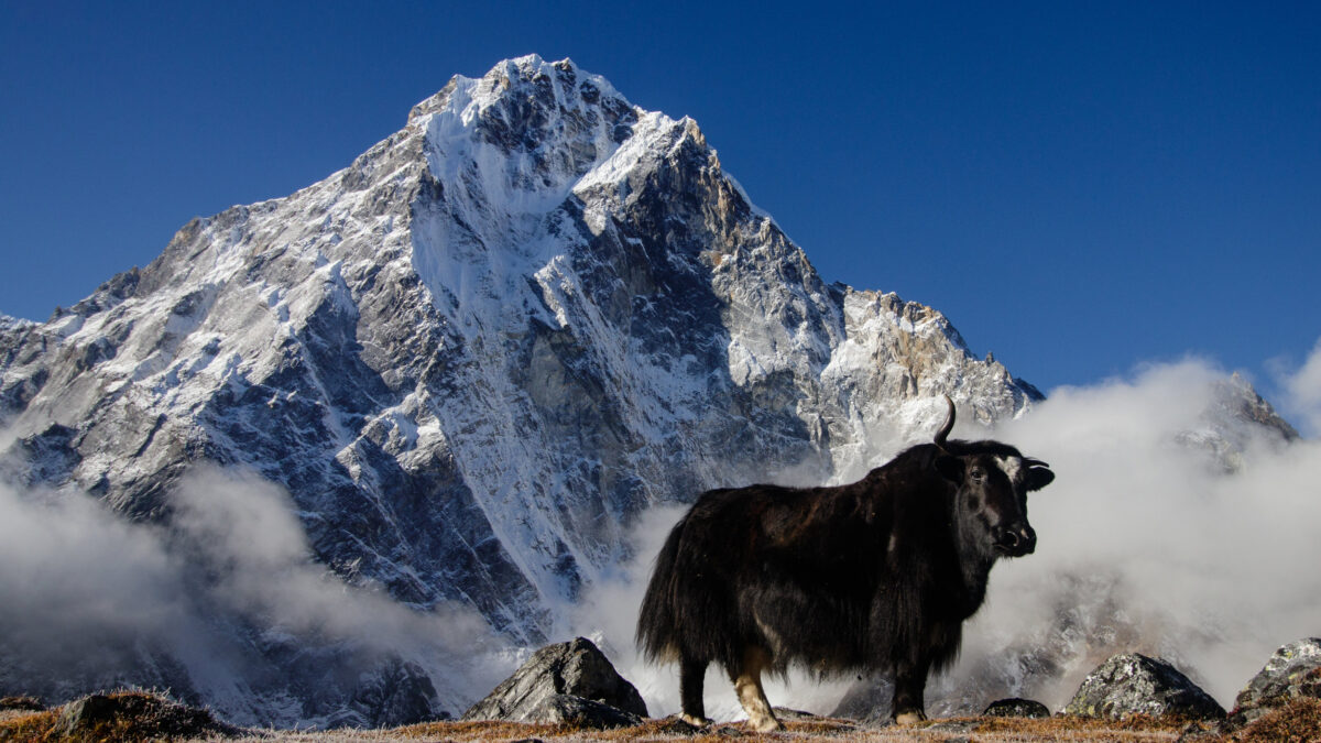 Wind-swept Peaks and Whispering Winds: An Unforgettable Journey Through Sagarmatha National Park