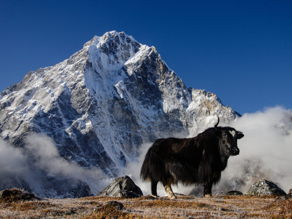 Wind-swept Peaks and Whispering Winds: An Unforgettable Journey Through Sagarmatha National Park